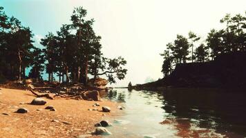lugn berg paradis, med en pittoresk sjö och doftande tall träd video