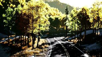 road and yellow mountain forest at sunset video