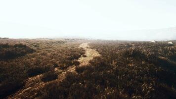 remarkable image of a foggy rocky landscape with partial vegetation video