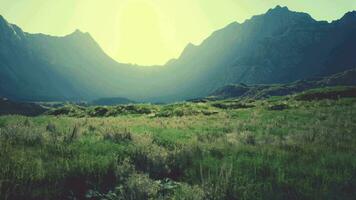 barren rocky mountain scene with dry grass and scattered stones video