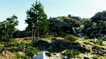 Beautiful mountain summer landscape in sunny day video