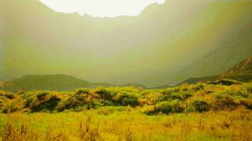 mountainous desert landscape with rocky terrain and few plants video