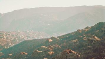 impressive shot of a foggy rocky terrain with some vegetation video