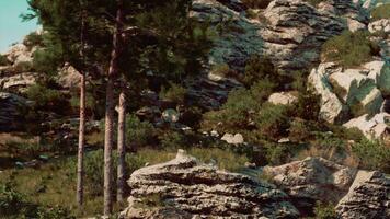 mágico montañas verano rocoso paisaje video
