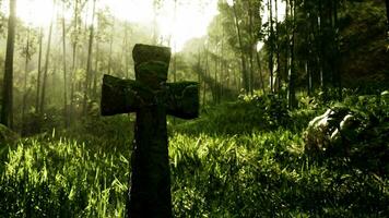 old stone grave cross in a tropical forest video