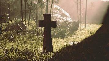 getragen Denkmal Kreuz im ein dicht Wald video
