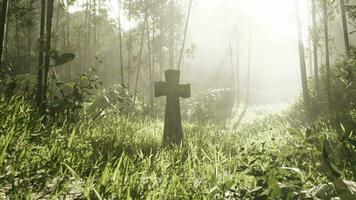 weathered tombstone amidst trees in fog video