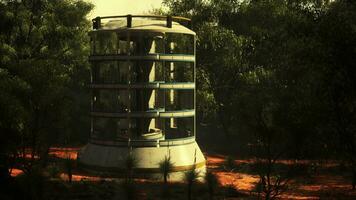 en modern glas växthus torn omgiven förbi frodig grön skog video