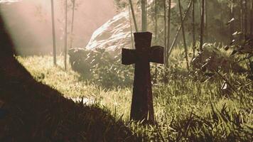 ancient stone cross in the midst of tropical flora video