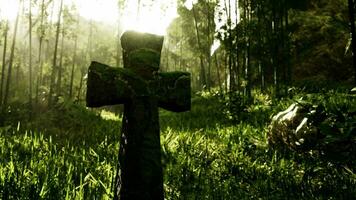 decaying stone cross marking a final resting place in the jungle video