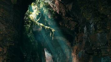 un maravilloso cueva iluminado por volumétrico luz, exhibiendo un lozano verde plantas video