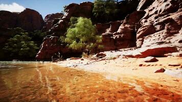 Colorado River in Grand Canyon video