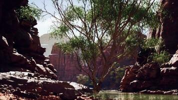 Colorado River in Grand Canyon video