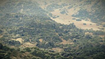 A majestic mountain range framed by lush trees video