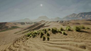 A serene desert landscape with majestic mountains in the distance video