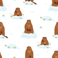 Seamless pattern with  marmots Groundhog Day png