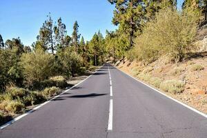 an empty road in the mountains with trees on either side photo