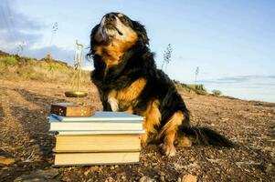 a dog sitting next to books with a scale photo