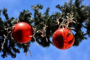 adornos navideños en un árbol foto