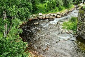 un río corriendo mediante un bosque con rocas y arboles foto