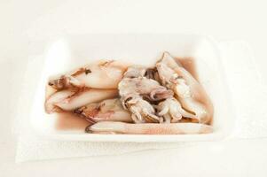 a white plate with squid in it photo
