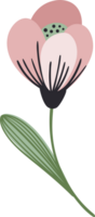 Pink flower. Illustration png