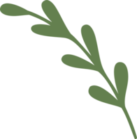 bloemen element. illustratie png