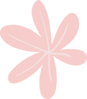 pinke Blume. Illustration png