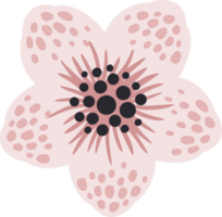 pinke Blume. Illustration png