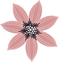 fleur rose. illustration png