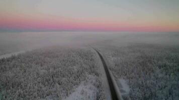 snöig skog väg på solnedgång antenn video