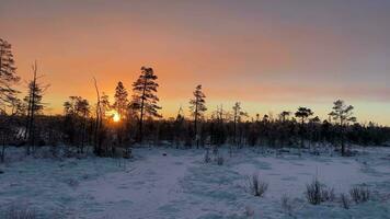 Winter Sonnenaufgang Gelassenheit im schneebedeckt Wald video