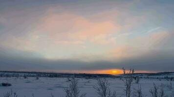 hiver sérénité chute de neige à pastel le coucher du soleil video