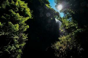 a waterfall in the jungle with the sun shining through photo