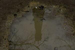 a puddle of water with a tower reflection photo