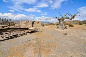 an old abandoned building and tree in the desert photo