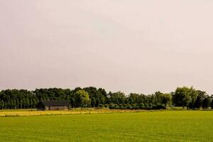 un granja en el medio de un verde campo foto