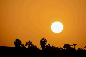 the sun sets behind palm trees in the background photo