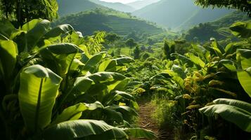 AI generated beautiful view of the banana tree garden photo