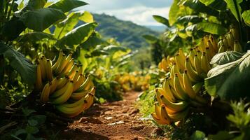 AI generated beautiful view of the banana tree garden photo