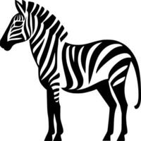 cebra, negro y blanco vector ilustración