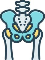color icon for hip vector
