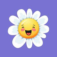 Camomile smile daisy flower, laughing chamomile vector