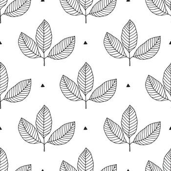 modelo vector y antecedentes modelo diseño