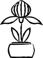 Orchid plant hand drawn vector illustration