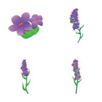 púrpura flor íconos conjunto dibujos animados vector. brillante verano flor vector