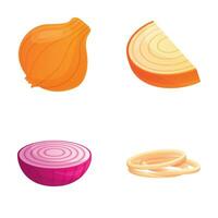 Onion icons set cartoon vector. Whole and cut onion vector