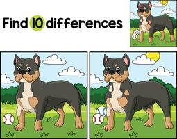 American Bully Dog Find The Differences vector