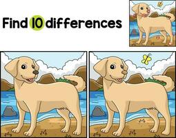 Labrador Retriever Dog Find The Differences vector