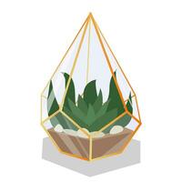 Vector illustration with a glass dodecahedron of a florarium highlighted in the background. Succulent in a geometric flower pot in a flat style. The plant is in a golden, glass cage isolated